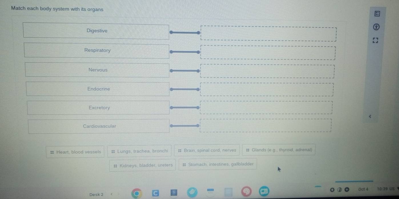 Match each body system with its organs
Digestive
Respiratory
Nervous
Endocrine
Excretory
Cardiovascular
: Heart, blood vessels : Lungs, trachea, bronchi :: Brain, spinal cord, nerves # Glands (e.g., thyroid, adrenal)
:: Kidneys, bladder, ureters : Stomach, intestines, gallbladder
Desk 2 Oct 4 10:39 US