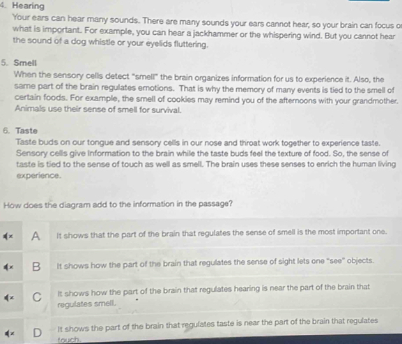 Hearing
Your ears can hear many sounds. There are many sounds your ears cannot hear, so your brain can focus o
what is important. For example, you can hear a jackhammer or the whispering wind. But you cannot hear
the sound of a dog whistle or your eyelids fluttering.
5. Smell
When the sensory cells detect “smell” the brain organizes information for us to experience it. Also, the
same part of the brain regulates emotions. That is why the memory of many events is tied to the smell of
certain foods. For example, the smell of cookies may remind you of the afternoons with your grandmother.
Animals use their sense of smell for survival.
6. Taste
Taste buds on our tongue and sensory cells in our nose and throat work together to experience taste.
Sensory cells give Information to the brain while the taste buds feel the texture of food. So, the sense of
taste is tied to the sense of touch as well as smell. The brain uses these senses to enrich the human living
experience.
How does the diagram add to the information in the passage?
A It shows that the part of the brain that regulates the sense of smell is the most important one.
B It shows how the part of the brain that regulates the sense of sight lets one “see” objects.
C It shows how the part of the brain that regulates hearing is near the part of the brain that
regulates smell.
It shows the part of the brain that regulates taste is near the part of the brain that regulates
touch