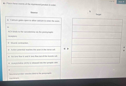 Next 
* Place these events of the myoneural junction in order.
Source 
Calcium gates open to allow calcium to enter the axon
ACh binds to the sarcolemma via the postsynaptic
re ceptors.
Muscle contraction.
Action potential reaches the axon in the neive cell.
Na ions flow in and K ions flow out of the muscle cell.
Acetylcholine (ACh) is released into the synapsic cleft.
Neurotransmitter vesicles bind to the presynaptic
me mbrahe .