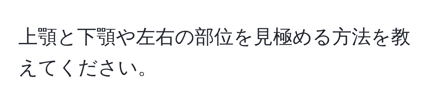 上顎と下顎や左右の部位を見極める方法を教えてください。