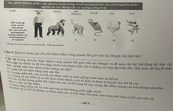 So sánh thành phần các amino acid trong chuỗi polypeptide của Hemoglobin giữa
người và các động vật có xương sống khác
Loài Người Gorilla Khi Chuột Gà Ech
Rhesus
Số lượng
axit amin sai khác
so với chuỗi polipeptit
trong phân từ Hemoglobin 0 1 8 27 45 67
ở người
Tổng số axit amin trong chuỗi: 146 axit amin
Cầu 9. Darwin tham gia chuyến thám hiểm vòng quanh thế giới trên tàu Beagle vào năm nào?
Câu lổ Trong chuyên thẩm hiểm vòng quanh thể giới trên tàu Beagle và đã quan sát các loài động vật, thực vật,
điều kiện tự nhiên và đã thu thập nhiều hóa thạch sinh vật ở những nơi ông đặt chân đến. Qua quan sát ông đã nhận
thấy và kết luận bao nhiêu hiện tượng sau đây?
(1) Sinh vật có tiềm năng sinh sản lớn
(2) Trong quần thể, các cá thể con được sinh ra luôn giống hoàn toàn cá thể mẹ
( 3) Trong số các biển đị cá thể được hình thành, một số biến dị được di truyền cho thế hệ con
nhau ở một số đặc điểm
(4) Các cá thể trong quân thể, thậm chi các cá thể cùng bố mẹ, mang đặc điểm chung của loài nhưng luôn khác
(5) Khá năng sống sót và sinh sản của cá thể không phải ngẫu nhiên
(6) Biển đị cá thể là những sai khác giữa các cá thể cùng loài phát sinh trong đời sống cá thể của sinh vật.
==ết ===