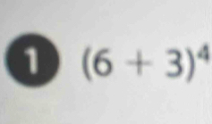 1 (6+3)^4