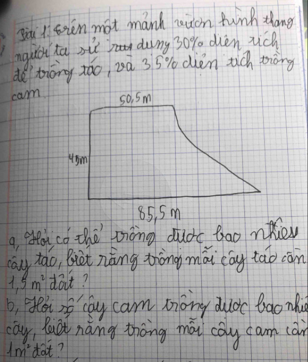 sii Asien mat manh reucn funk thang 
nquctta sit dung 30% dvien rich 
detrōng táo, 2à 35% dièn tich tròng 
cam 
so, Sm
45m
85, 5m
a, atter co the tong dudc bao nhe 
cāu tāo, Biet náng zhòng mà cáy tǎo cān
1.5m^2 dolt? 
b, Heao cay cam mony duoc baonli 
cāy, Yuci nàng thōng mài coly cam (àn
1m^2 dot?