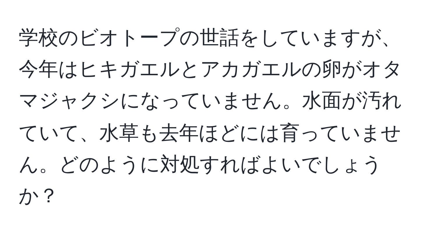 学校のビオトープの世話をしていますが、今年はヒキガエルとアカガエルの卵がオタマジャクシになっていません。水面が汚れていて、水草も去年ほどには育っていません。どのように対処すればよいでしょうか？