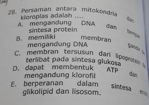 Persaman antara mitokondria
kloroplas adalah ....
dan
A. mengandung DNA
sintesa protein
dan
tempar
B. memiliki membran
mengandung DNA
ganda
C. membran tersusun dari lipoprotein 
terlibat pada sintesa glukosa
D. dapat membentuk ATP
mengandung klorofil
dan
E. berperanan dalam sintesa enzím
glikolipid dan lisosom.