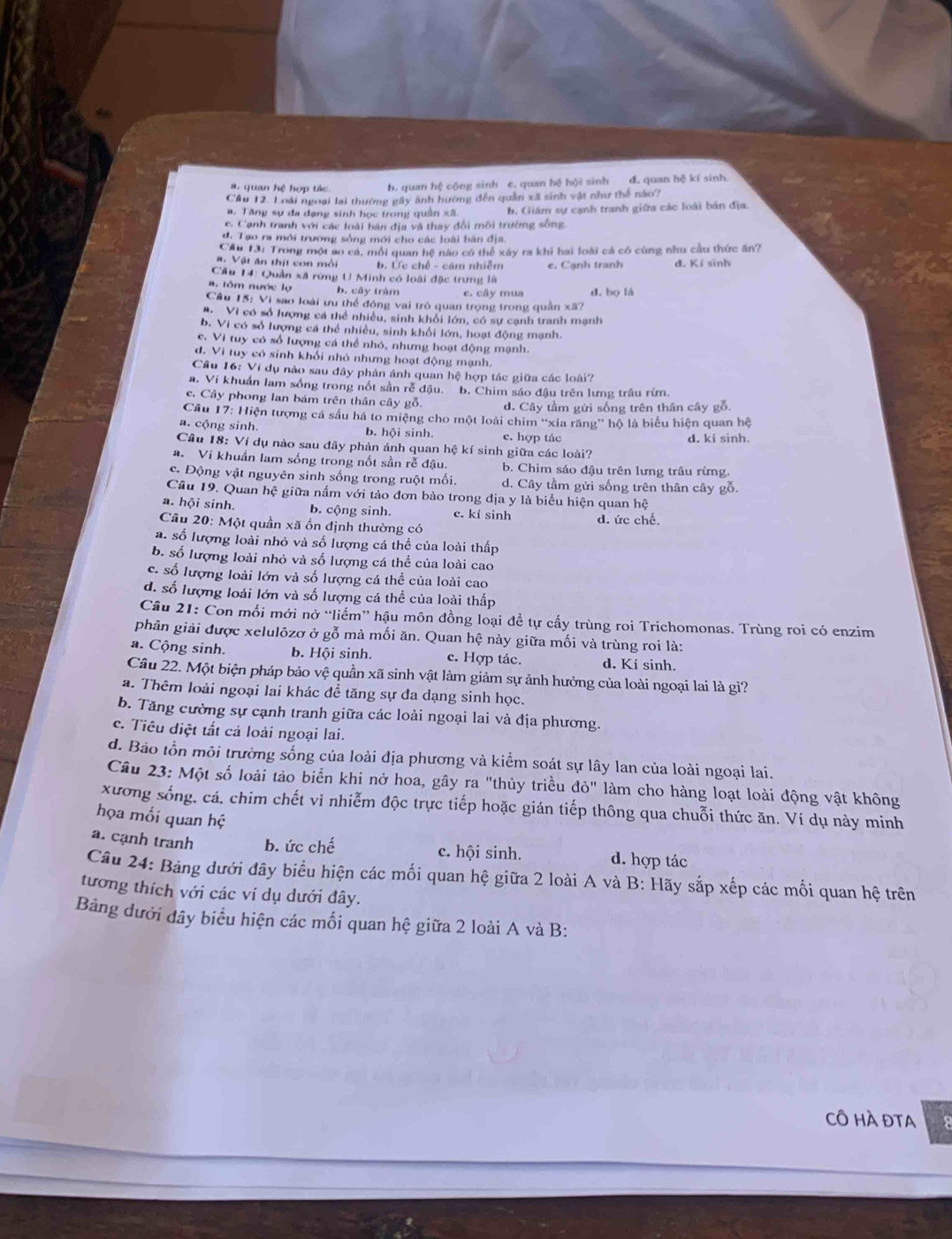 a. quan hệ hợp tác. b. quan hệ cộng sinh e. quan hệ hội sinh d. quan hệ kí sinh
Câu 12. Loài ngoại lai thường gây ảnh hướng đến quân xã sinh vật như thể nào?
a. Tăng sự đa đạng sinh học trong quần xã. b. Giâm sự cạnh tranh giữa các loài bản địa.
e. Cạnh tranh với các loài bản địa và thay đổi môi trường sống.
d. Tạo ra môi trường sống mới cho các loài bàn địa.
Cầu 13: Trong một ao cá, mỗi quan hệ nào có thể xây ra khi hai loài cá có cùng nhu cầu thức ăn?
a. Vật ăn thịt con mỗi b. Ức chế - cảm nhiễm e, Cạnh tranh d. Kí sinh
Câu 14: Quần xã rừng U Minh có loài đặc trưng là
a. tôm nước lợ b. cây trậm c. cây mua d, bọ lá
Câu 15: Vi sao loài ưu thể đóng vai trò quan trọng trong quân xã?
#. Vi có số lượng cá thể nhiều, sinh khổi lớn, có sự cạnh tranh mạnh
b. Vi có số lượng cá thể nhiều, sinh khối lớn, hoạt động mạnh.
c. Vi tuy có số lượng cá thể nhỏ, nhưng hoạt động mạnh.
đ. Vi tuy có sinh khổi nhỏ nhưng hoạt động mạnh.
Cầu 16: Ví dụ nào sau đây phản ánh quan hệ hợp tác giữa các loài?
a. Vi khuẩn lam sống trong nốt sần rễ đậu. b. Chim sáo đậu trên lưng trâu rừn.
c. Cây phong lan bám trên thân cây 86 d. Cây tầm gửi sống trên thân cây gỗ.
Câu 17: Hiện tượng cá sầu há to miệng cho một loài chim ''xia răng'' hộ là biểu hiện quan hệ
a. cộng sinh. b. hội sinh. c. hợp tác d. kí sinh.
Cầu 18: Ví dụ nào sau đây phản ánh quan hệ kí sinh giữa các loài?
a. Vi khuẩn lam sống trong nốt sần rễ đậu. b. Chim sáo đậu trên lưng trâu rừng.
c. Động vật nguyên sinh sống trong ruột mối. d. Cây tầm gửi sống trên thân cây gỗ.
Câu 19. Quan hệ giữa nấm với tảo đơn bào trong địa y là biểu hiện quan hệ
a. hội sinh. b. cộng sinh. c. kí sinh
Câu 20: Một quần xã ồn định thường có d. ức chế.
a. số lượng loài nhỏ và số lượng cá thể của loài thấp
b. số lượng loài nhỏ và số lượng cá thể của loài cao
c. số lượng loài lớn và số lượng cá thể của loài cao
d. số lượng loài lớn và số lượng cá thể của loài thấp
Câu 21: Con mối mới nở “liếm” hậu môn đồng loại đề tự cấy trùng roi Trichomonas. Trùng roi có enzim
phân giải được xelulôzơ ở gỗ mà mối ăn. Quan hệ này giữa mối và trùng roi là:
a. Cộng sinh. b. Hội sinh. c. Hợp tác. d. Kí sinh.
Câu 22. Một biện pháp bảo vệ quần xã sinh vật làm giảm sự ảnh hưởng của loài ngoại lai là gì?
a. Thêm loài ngoại lai khác để tăng sự đa dạng sinh học.
b. Tăng cường sự cạnh tranh giữa các loài ngoại lai và địa phương.
c. Tiêu diệt tất cả loài ngoại lai.
d. Bảo tồn môi trường sống của loài địa phương và kiểm soát sự lây lan của loài ngoại lai.
Câu 23: Một số loài tảo biển khi nở hoa, gây ra "thủy triều do'' làm cho hàng loạt loài động vật không
xương sống, cá, chim chết vì nhiễm độc trực tiếp hoặc gián tiếp thông qua chuỗi thức ăn. Ví dụ này minh
họa mối quan hệ
a. cạnh tranh b. ức chế c. hội sinh. d. hợp tác
Câu 24: Bảng dưới đây biểu hiện các mối quan hệ giữa 2 loài A và B: Hãy sắp xếp các mối quan hệ trên
tương thích với các ví dụ dưới đây.
Bảng dưới đây biểu hiện các mối quan hệ giữa 2 loài A và B:
CÔ HÀ ĐTA