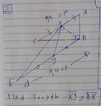 Find length overline XY, overline BX