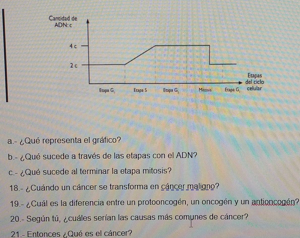 ¿Qué representa el gráfico? 
b.- ¿Qué sucede a través de las etapas con el ADN? 
c.- ¿Qué sucede al terminar la etapa mitosis? 
18.- ¿Cuándo un cáncer se transforma en cáncer maligno? 
19.- ¿Cuál es la diferencia entre un protooncogén, un oncogén y un antioncogén? 
20.- Según tú, ¿cuáles serían las causas más comunes de cáncer? 
21.- Entonces ¿Qué es el cáncer?