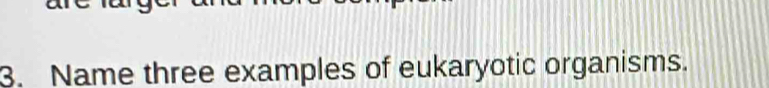 Name three examples of eukaryotic organisms.