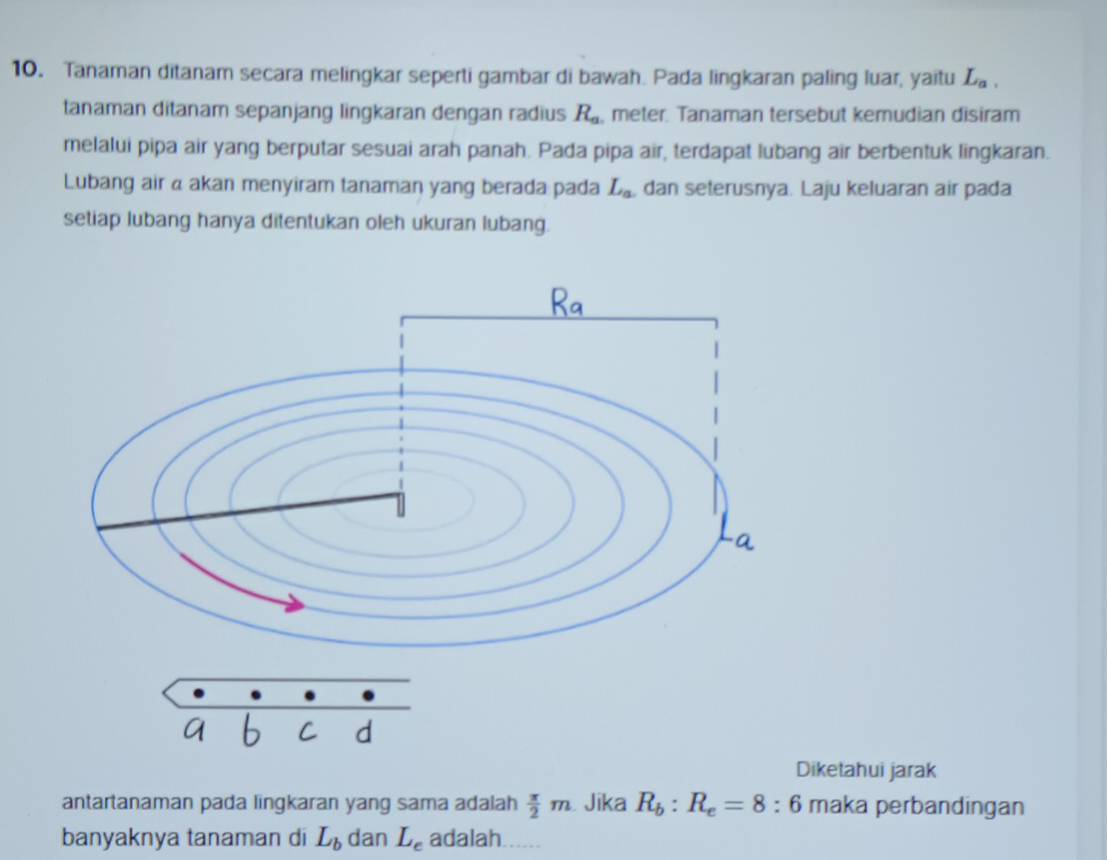 Tanaman ditanam secara melingkar seperti gambar di bawah. Pada lingkaran paling luar, yaitu L_a, 
tanaman ditanam sepanjang lingkaran dengan radius R_a meter. Tanaman tersebut kemudian disiram 
melalui pipa air yang berputar sesuai arah panah. Pada pipa air, terdapat lubang air berbentuk lingkaran. 
Lubang air a akan menyiram tanaman yang berada pada L_a dan seterusnya. Laju keluaran air pada 
setiap lubang hanya ditentukan oleh ukuran lubang. 
Diketahui jarak 
antartanaman pada lingkaran yang sama adalah  π /2 m Jika R_b:R_e=8:6 maka perbandingan 
banyaknya tanaman di L_b dan L_e adalah......