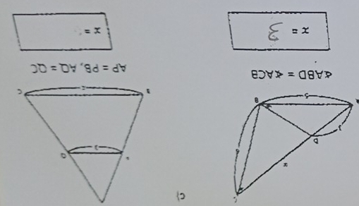 C
∠ ABD=∠ ACB
AP=PB, AQ=QC
x=
x=