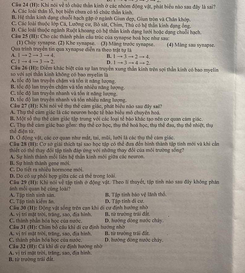 Khi nói về tổ chức thần kinh ở các nhóm động vật, phát biểu nào sau đây là sai?
A. Các loài thân lỗ, bọt biển chưa có tổ chức thần kinh.
B. Hệ thần kinh dạng chuỗi hạch gặp ở ngành Giun dẹp, Giun tròn và Chân khớp.
C. Các loài thuộc lớp Cá, Lưỡng cư, Bò sát, Chim, Thú có hệ thần kinh dạng ống.
D. Các loài thuộc ngành Ruột khoang có hệ thần kinh dạng lưới hoặc dạng chuỗi hạch.
Câu 25 (H): Cho các thành phần cầu trúc của synapse hoá học như sau:
(1) Chùy synapse. (2) Khe synapse. (3) Màng trước synapse. (4) Màng sau synapse.
Qua trình truyền tin qua xynapse diễn ra theo trật tự là
A. 1 → 2to to 4 B. 1to 3to 2to 4.
C. 1 to 4to 3to 2. D. 1to 3to 4to 2.
Câu 26 (H): Điểm khác biệt của sự lan truyền xung thần kinh trên sợi thần kinh có bao myelin
so với sợi thần kinh không có bao myelin là
A. tốc độ lan truyền chậm và tồn ít năng lượng.
B. tốc độ lan truyền chậm và tốn nhiều năng lượng.
C. tốc độ lan truyền nhanh và tốn ít năng lượng.
D. tốc độ lan truyền nhanh và tổn nhiều năng lượng.
Câu 27 (H): Khi nói về thụ thể cảm giác, phát biểu nào sau đây sai?
A. Thụ thể cảm giác là các neuron hoặc tế bào biểu mô chuyên hoá.
B. Một số thụ thể cảm giác tập trung với các loại tế bào khác tạo nên cơ quan cảm giác.
C. Thụ thể cảm giác bao gồm: thụ thể cơ học, thụ thể hoá học, thụ thể đau, thụ thể nhiệt, thụ
thể điện từ.
D. Ở động vật, các cơ quan như mắt, tai, mũi, lưỡi là các thụ thể cảm giác.
Câu 28 (H): Cơ sở giải thích tại sao học tập có thể đưa đến hình thành tập tính mới và khi cần
thiết có thể thay đổi tập tính đáp ứng với những thay đổi của môi trường sống?
A. Sự hình thành mối liên hệ thần kinh mới giữa các neuron.
B. Sự hình thành gene mới.
C. Do tiết ra nhiều hormone mới.
D. Do có sự phối hợp giữa các cá thể trong loài.
Câu 29 (H): Khi nói về tập tính ở động vật. Theo lí thuyết, tập tính nào sau đây không phản
ánh mối quan hệ cùng loài?
A. Tập tính sinh sản. B. Tập tính bảo vệ lãnh thổ.
C. Tập tính kiếm ăn. D. Tập tính di cư.
Câu 30 (H): Động vật sống trên cạn khi di cư định hướng nhờ
A. vị trí mặt trời, trăng, sao, địa hình. B. từ trường trái đất.
C. thành phần hóa học của nước. D. hướng dòng nước chảy.
Câu 31 (H): Chim bồ câu khi di cư định hướng nhờ
A. vị trí mặt trời, trăng, sao, địa hình. B. từ trường trái đất.
C. thành phần hóa học của nước. D. hướng dòng nước chảy.
Câu 32 (H): Cá khi di cư định hướng nhờ
A. vị trí mặt trời, trăng, sao, địa hình.
B. từ trường trái đất.