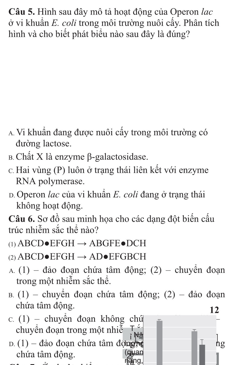 Hình sau đây mô tả hoạt động của Operon lạc
ở vi khuẩn E. coli trong môi trường nuôi cấy. Phân tích
hình và cho biết phát biểu nào sau đây là đúng?
A Vi khuẩn đang được nuôi cấy trong môi trường có
đường lactose.
B. Chất X là enzyme β-galactosidase.
c. Hai vùng (P) luôn ở trạng thái liên kết với enzyme
RNA polymerase.
D. Operon lac của vi khuẩn E. coli đang ở trạng thái
không hoạt động.
Câu 6. Sơ đồ sau minh họa cho các dạng đột biến cấu
trúc nhiễm sắc thể nào?
(1) ABCD●EFGH → ABGFE●DCH
(2) ABCD●EFGH → AD●EFGBCH
A. (1) - đảo đoạn chứa tâm động; (2) - chuyền đoạn
trong một nhiễm sắc thể.
B. (1) - chuyền đoạn chứa tâm động; (2) - đảo đoạn
chứa tâm động.
12
c. (1) - chuyển đoạn không chú
chuyền đoạn trong một nhiễ
D.(1) - đảo đoạn chứa tâm độngng ng
chứa tâm động. (quan
náng,