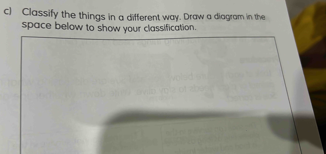 Classify the things in a different way. Draw a diagram in the 
space below to show your classification.