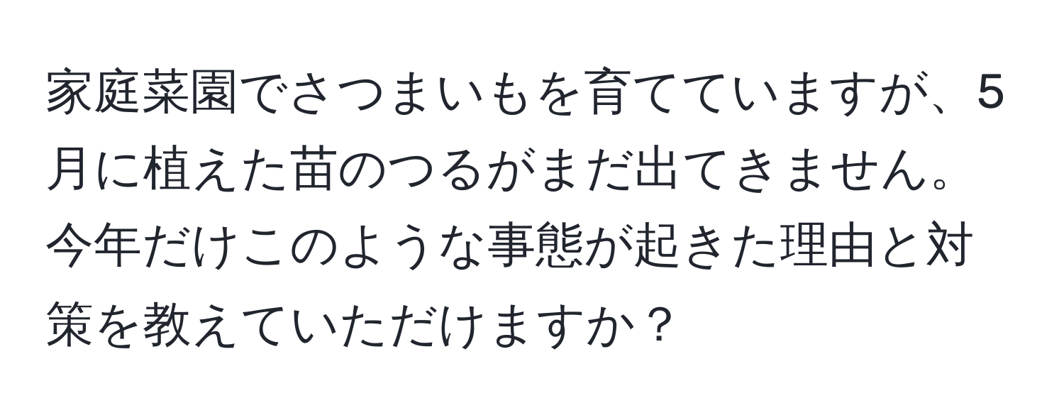 家庭菜園でさつまいもを育てていますが、5月に植えた苗のつるがまだ出てきません。今年だけこのような事態が起きた理由と対策を教えていただけますか？