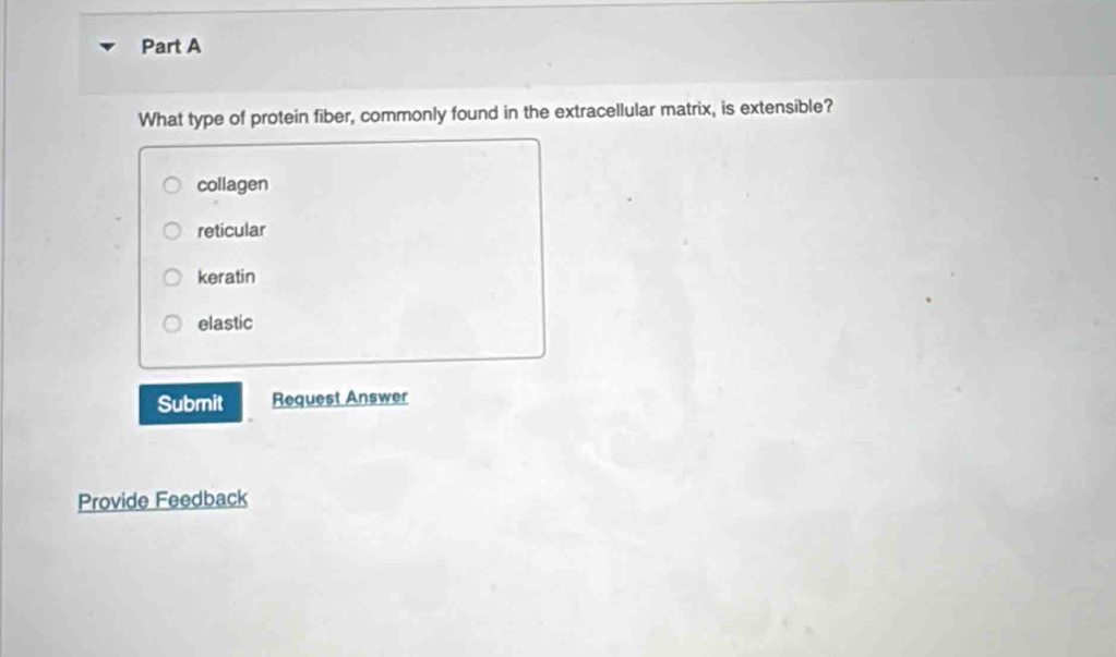 What type of protein fiber, commonly found in the extracellular matrix, is extensible?
collagen
reticular
keratin
elastic
Submit Request Answer
Provide Feedback