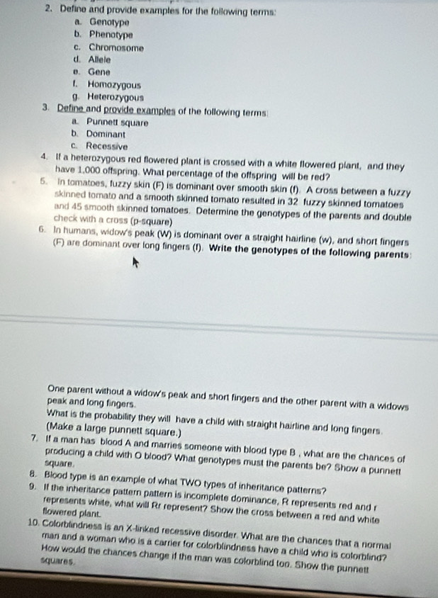 Define and provide examples for the following terms: 
a. Genotype 
b. Phenotype 
c. Chromosome 
d. Allele 
e. Gene 
f. Homozygous 
g. Heterozygous 
3. Define and provide examples of the following terms 
a. Punnett square 
b. Dominant 
c. Recessive 
4. If a heterozygous red flowered plant is crossed with a white flowered plant, and they 
have 1,000 offspring. What percentage of the offspring will be red? 
5. In tomatoes, fuzzy skin (F) is dominant over smooth skin (f). A cross between a fuzzy 
skinned tomato and a smooth skinned tomato resulted in 32 fuzzy skinned tomatoes 
and 45 smooth skinned tomatoes. Determine the genotypes of the parents and double 
check with a cross (p-square) 
6. In humans, widow's peak (W) is dominant over a straight hairline (w), and short fingers 
(F) are dominant over long fingers (f). Write the genotypes of the following parents: 
One parent without a widow's peak and short fingers and the other parent with a widows 
peak and long fingers. 
What is the probability they will have a child with straight hairline and long fingers. 
(Make a large punnett square.) 
7. If a man has blood A and marries someone with blood type B , what are the chances of 
producing a child with O blood? What genotypes must the parents be? Show a punnett 
square. 
8. Blood type is an example of what TWO types of inheritance patterns? 
9. If the inheritance pattern pattern is incomplete dominance, R represents red and r 
represents white, what will Rr represent? Show the cross between a red and white 
flowered plant. 
10. Colorblindness is an X -linked recessive disorder. What are the chances that a normal 
man and a woman who is a carrier for colorblindness have a child who is colorblind? 
How would the chances change if the man was colorblind too. Show the punnett 
squares.