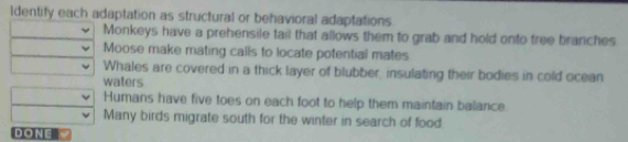 Identify each adaptation as structural or behavioral adaptations
Monkeys have a prehensile tail that allows them to grab and hold onto tree branches
Moose make mating calls to locate potential mates
Whales are covered in a thick layer of blubber, insulating their bodies in cold ocean
waters
Humans have five toes on each foot to help them maintain balance.
Many birds migrate south for the winter in search of food
DONE