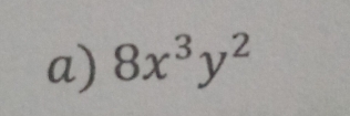 8x^3y^2