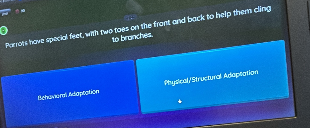 Parrots have special feet, with two toes on the front and back to help them cling
to branches.
Behavioral Adaptation Physical/Structural Adaptation