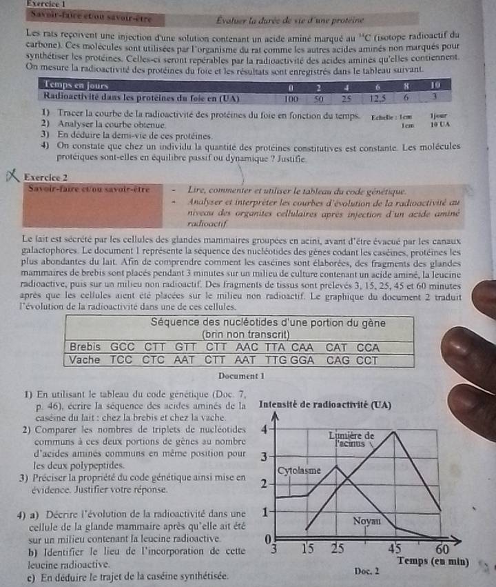 Savoir-faire ét ou savoir-être Évaluer la durée de vie d'une proteine
Les rats reçoivent une injection d'une solution contenant un acide aminé marqué au “C isotope radioactif du
carbone). Ces molécules sont utilisées par l'organisme du rat comme les autres acides amnés non marqués pour
synthétiser les protéines. Celles-ei seront repérables par la radioactivité des acides amines qu'elles contiennent.
On mesure la radioactivité des protéines du foie et les résultats sont enregistrés dans le tableau suivant
1) Tracer la courbe de la radioactivité des protéines du foie en fonction du temps.
2) Analyser la courbe obtenue Echele : 1cm 1 cm 1jour
10 UA
3) En déduire la demi-vie de ces protéines.
4) On constate que chez un individu la quantité des protéines comstitutives est constante. Les molécules
protéiques sont-elles en équilibre passif ou dynamique ? Justifie.
Exercice 2
Saveir-faire conu «avalr-ètre Lire, commenter et utiliser le tableau du code génétique.
Analyser et interpréter les courbes d'évolution de la radioactivité au
niveau des organites cellulaires après injection d'un acide aminé
radioactif
Le lait est sécrété par les cellules des glandes mammaires groupées en acini, avant d'être évacué par les canaux
galactophores. Le document 1 représente la séquence des nucléotides des gènes codant les caséines, protéines les
plus abondantes du lait. Afin de comprendre comment les caséines sont élaborées, des fragments des glandes
mammaires de brebis sont placés pendant 3 minutes sur un milieu de culture contenant un acide aminé, la leucine
radioactive, puis sur un milieu non radioactif. Des fragments de tissus sont prélevés 3, 15, 25, 45 et 60 minutes
après que les cellules aient été placées sur le milieu non radioactif. Le graphique du document 2 traduit
l'évolution de la radioactivité dans une de ces cellules.
1) En utilisant le tableau du code génétique (Doc. 7,
p. 46), écrire la séquence des acides aminés de la
caséine du lait : chez la brebis et chez la vache
2) Comparer les nombres de triplets de nucléotides
communs à ces deux portions de gènes au nombre
d'acides aminés communs en même position pour
les deux polypeptides.
3) Préciser la propriété du code génétique ainsi mise en
évidence. Justifier votre réponse.
4) a) Décrire l'évolution de la radioactivité dans une
cellule de la glande mammaire après qu'elle ait été
sur un milieu contenant la leucine radioactive.
b) Identifier le lieu de l'incorporation de cette
leucine radioactive.
c) En déduire le trajet de la caséine synthétisée.