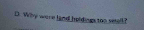 Why were land holdings too small?