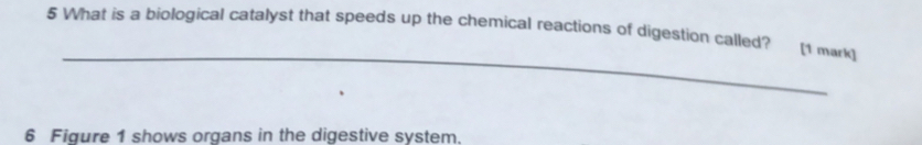 What is a biological catalyst that speeds up the chemical reactions of digestion called? [1 mark] 
_ 
6 Figure 1 shows organs in the digestive system.