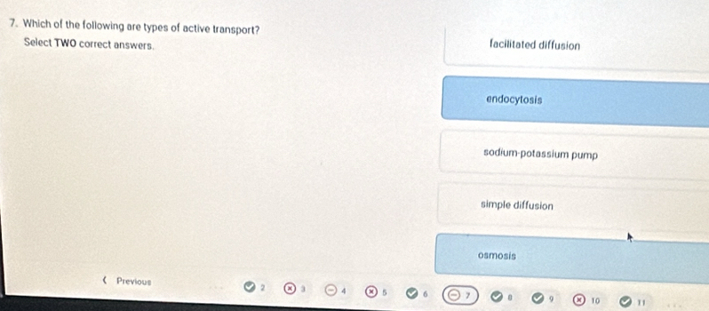 Which of the following are types of active transport? facilitated diffusion
Select TWO correct answers.
endocytosis
sodium-potassium pump
simple diffusion
osmosis
《 Previous
10 11