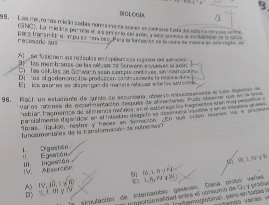 BIOLOGÍA
95. Las neuronas mielinizadas normalmente suelen encontrarse fuera del sistema nervioso central
(SNC). La mielina permite el aislamiento del axón, y esto provoca la excitabilidad de la ceule
para transmitir el impulso nervioso. Para la formación de la vaina de mielina en esta región, es
necesario que
A)   se fusionen los retículos endoplásmicos rugosos del astrocito
B) las membranas de las células de Schwann envuelvan al axón.
C)  las células de Schwann sean siempre continuas, sin interrupcióne
D) los oligodendrocitos produzcan continuamente la mielina dura
E) los axones se dispongan de manera reticular ante los astrocitos.
96. Raúl, un estudiante de quinto de secundaría, observó minuciosamente el tubo digestivo de
varios ratones de experimentación después de alimentarlos. Pudo observar que en la boca
habían fragmentos de alimentos molidos, en el estómago los fragmentos eran muy osquel os 
parcíalmente digeridos; en el intestino delgado se observaba líquidos y en el intestino grueso
fibras, líquido, restos y heces en formación. ¿En qué orden ocurren los 4 precesor
fundamentales de la transformación de nutrientes?
I. Digestión
II. Egestión
III. Ingestión
2)  III, 1, IV y I
IV. Absorción
A) ⅣV,Ⅲ,IyⅣ B) III; I, I y Ⅳ
D) II, I, I y IV E) I, II, I y II
la simulación de intercambio gaseoso, Dana probó varías
ar proporcionalidad entre el consumo de O_2 y produ
(nxihemoglobina), pero en todas la
n      ar