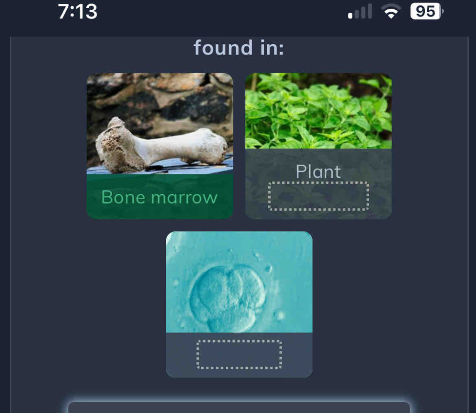 7:13
95
found in: 
Plant 
Bone marrow 
: