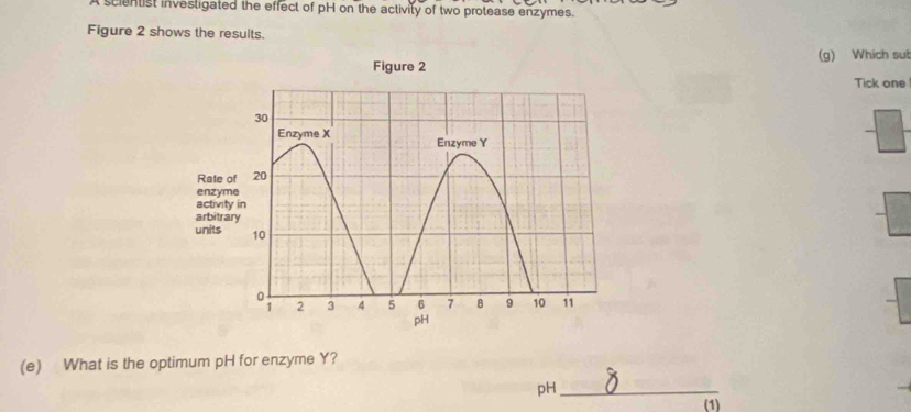 scientist investigated the effect of pH on the activity of two protease enzymes. 
Figure 2 shows the results. 
(g) Which sul 
Tick one 
(e) What is the optimum pH for enzyme Y? 
pH_ 
(1)