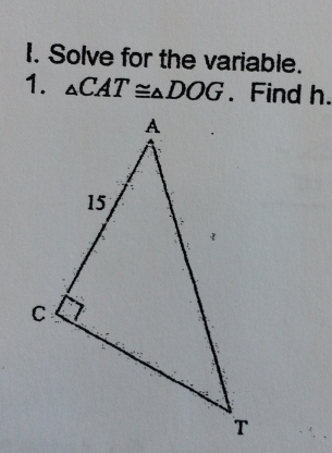 Solve for the variable. 
1. △ CAT≌ △ DOG. Find h.