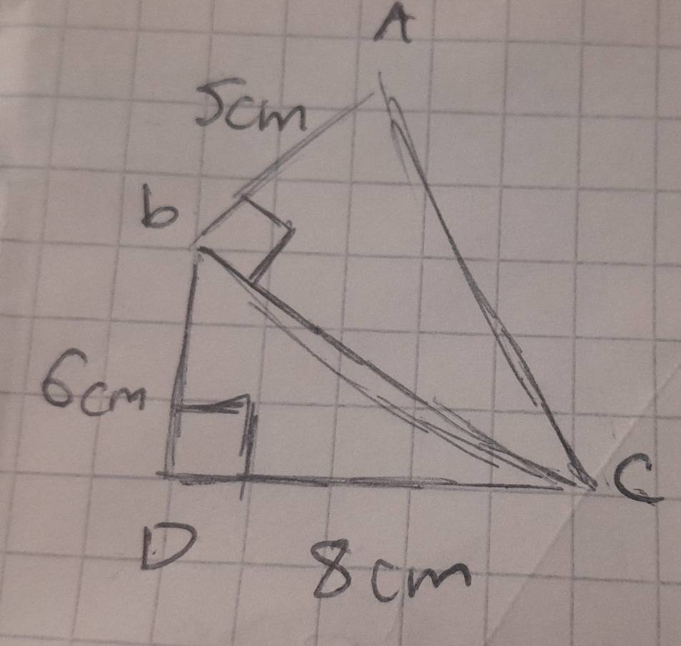 A
Scm
b
6cm
C 
D
8cm