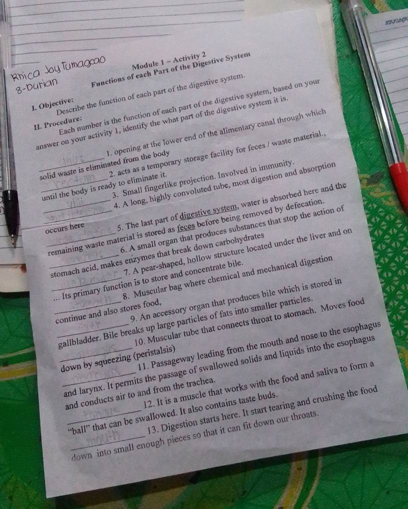 yu mag 
Module 1 - Activity 2 
_ Functions of each Part of the Digestive System 
Describe the function of each part of the digestive system 
I. Objective: 
Each number is the function of each part of the digestive system, based on your 
II. Procedure: answer on your activity 1, identify the what part of the digestive system it is 
1. opening at the lower end of the alimentary canal through which 
2. acts as a temporary storage facility for feces / waste material. 
_solid waste is eliminated from the body 
3. Small fingerlike projection. Involved in immunity. 
4. A long, highly convoluted tube, most digestion and absorption 
_until the body is ready to eliminate it. 
__occurs here 5. The last part of digestive system, water is absorbed here and the 
_remaining waste material is stored as feces before being removed by defecation 
6. A small organ that produces substances that stop the action of 
7. A pear-shaped, hollow structure located under the liver and on 
_stomach acid, makes enzymes that break down carbohydrates 
8. Muscular bag where chemical and mechanical digestion 
_... Its primary function is to store and concentrate bile 
9. An accessory organ that produces bile which is stored in 
_continue and also stores food, 
_gallbladder. Bile breaks up large particles of fats into smaller particles. 
10. Muscular tube that connects throat to stomach. Moves food 
11. Passageway leading from the mouth and nose to the esophagus 
_down by squeezing (peristalsis) 
_and larynx. It permits the passage of swallowed solids and liquids into the esophagus 
12. It is a muscle that works with the food and saliva to form a 
and conducts air to and from the trachea. 
13. Digestion starts here. It start tearing and crushing the food 
_“ball” that can be swallowed. It also contains taste buds 
_down into small enough pieces so that it can fit down our throats.