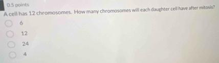 A cell has 12 chromosomes. How many chromosomes will each daughter cell have after mitosis?
6
12
24
4