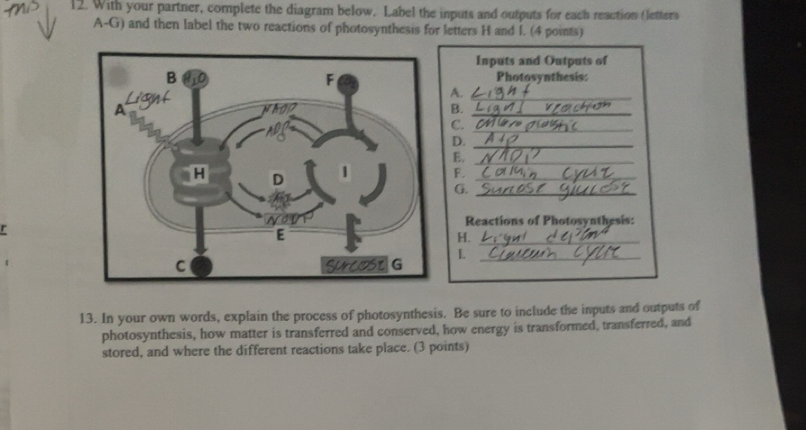 Solved: With your partner, complete the diagram below. Label the inputs ...