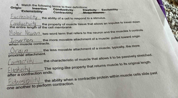 Match the following terms to their definitions:
Insertion
Origin Extensibility Contractility Conductivity Elasticity Excitability Motor Neuron
_the ability of a cell to respond to a stimulus.
_the entire length of the cell membrane. the property of muscle tissue that allows an impulse to travel down
_
two word term that refers to the neuron and the muscles it controls
_when muscle contracts. the more movable attachment of a muscle: pulled toward origin
_
the less movable attachment of a muscle; typically, the more
proximal attachment.
the characteristic of muscle that allows it to be passively stretched.
_
_The spring-like property that returns muscle to its original length
after a contraction ends.
_
the ability when a contractile protein within muscle cells slide past
one another to perform contraction.