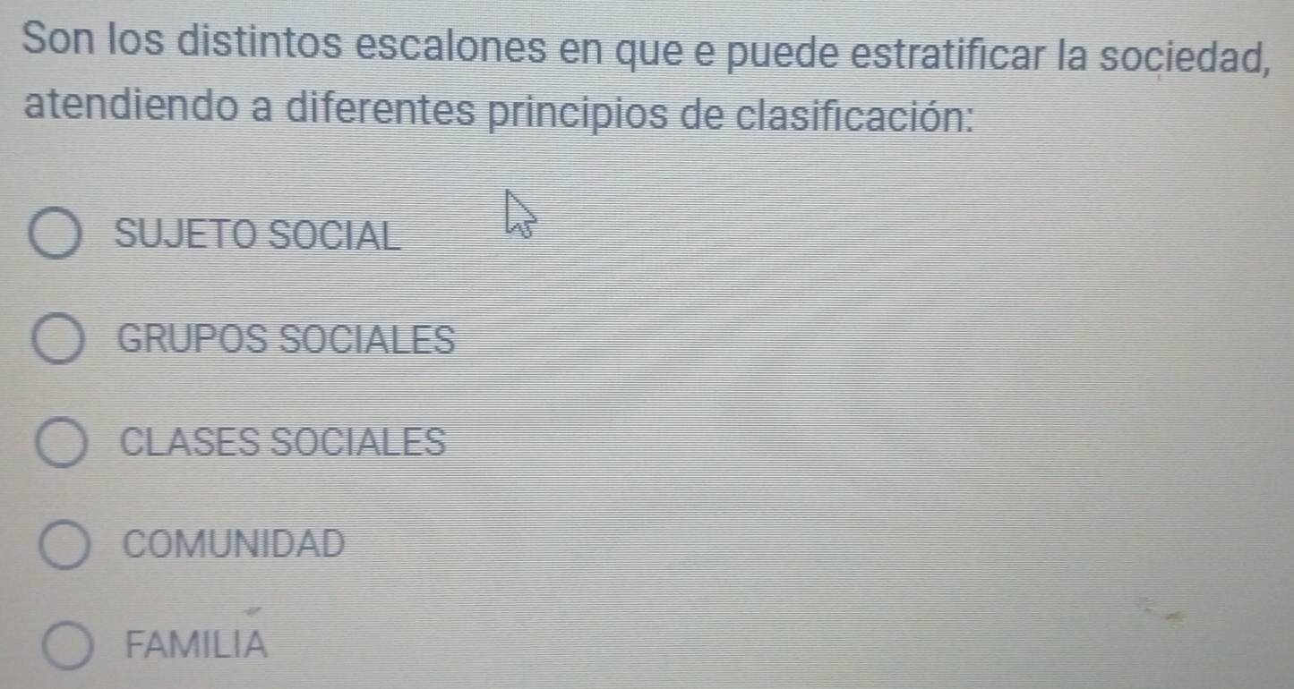 Son los distintos escalones en que e puede estratificar la sociedad,
atendiendo a diferentes principios de clasificación:
SUJETO SOCIAL
GRUPOS SOCIALES
CLASES SOCIALES
COMUNIDAD
FAMILIA