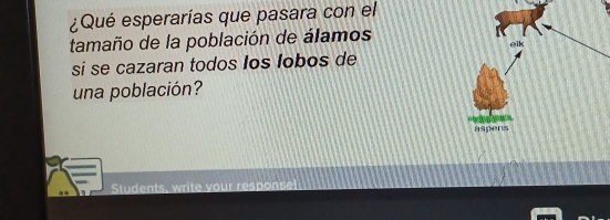 ¿Qué esperarías que pasara con el 
tamaño de la población de álamos 
si se cazaran todos los lobos de 
una población? 
Students, write your response!