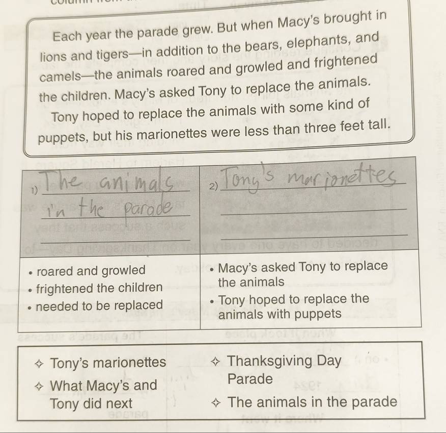 Each year the parade grew. But when Macy's brought in 
lions and tigers—in addition to the bears, elephants, and 
camels—the animals roared and growled and frightened 
the children. Macy's asked Tony to replace the animals. 
Tony hoped to replace the animals with some kind of 
puppets, but his marionettes were less than three feet tall. 
Tony's marionettes Thanksgiving Day 
What Macy's and 
Parade 
Tony did next The animals in the parade