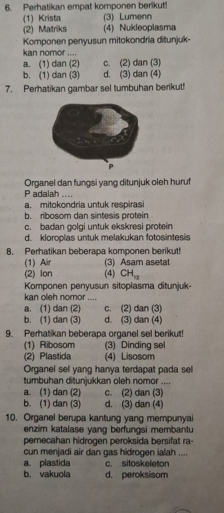 Perhatikan empat komponen berikut!
(1) Krista (3) Lumenn
(2) Matriks (4) Nukleoplasma
Komponen penyusun mitokondria ditunjuk-
kan nomor ....
a. (1) dan (2) c. (2) dan (3)
b. (1) dan (3) d. (3) dan (4)
7. Perhatikan gambar sel tumbuhan berikut!
Organel dan fungsi yang ditunjuk oleh huruf
P adalah ....
a. mitokondria untuk respirasi
b. ribosom dan sintesis protein
c. badan golgi untuk ekskresi protein
d. kloroplas untuk melakukan fotosintesis
8. Perhatikan beberapa komponen berikut!
(1) Air (3) Asam asetat
(2) Ion (4) CH_12
Komponen penyusun sitoplasma ditunjuk-
kan oleh nomor ....
a. (1) dan (2) c. (2) dan (3)
b. (1) dan (3) d. (3) dan (4)
9. Perhatikan beberapa organel sel berikut!
(1) Ribosom (3) Dinding sel
(2) Plastida (4) Lisosom
Organel sel yang hanya terdapat pada sel
tumbuhan ditunjukkan oleh nomor ....
a. (1) dan (2) c. (2) dan (3)
b. (1) dan (3) d. (3) dan (4)
10. Organel berupa kantung yang mempunyai
enzim katalase yang berfungsi membantu
pemecahan hidrogen peroksida bersifat ra-
cun menjadi air dan gas hidrogen ialah ....
a. plastida c. sitoskeleton
b. vakuola d. peroksisom