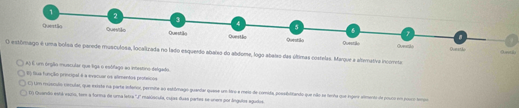 estômago é uma bolsa de parede musculosa, localizada no lado esquerdo abaixo do abdome, logo abaixo das últimas costelas. Marque a alternativa incorreta:
A) É um órgão muscular que liga o esôfago ao intestino delgado.
B) Sua função principal é a evacuar os alimentos proteicos
C) Um músculo circular, que existe na parte inferior, permite ao estômago guardar quase um litro e meio de comida, possibilitando que não se tenha que ingerir alimento de pouco em pouco tempo
D) Quando está vazio, tem a forma de uma letra "J" maiúscula, cujas duas partes se unem por ângulos agudos.