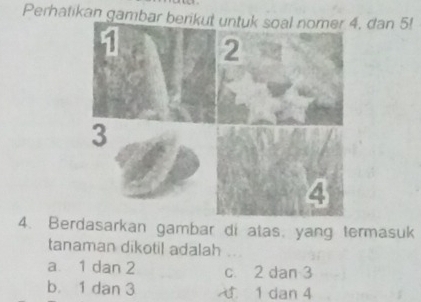 Perhatikan gambar berikut. dan 5!
4. Berdasarkan gambar di atas, yang termasuk
tanaman dikotil adalah
a 1 dan 2 c. 2 dan 3
b. 1 dan 3 d 1 dan 4