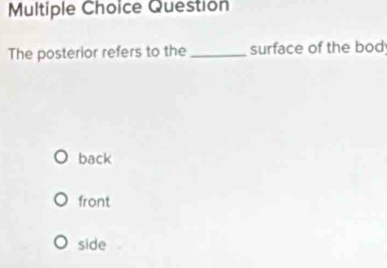 Question
The posterior refers to the _surface of the bod
back
front
side