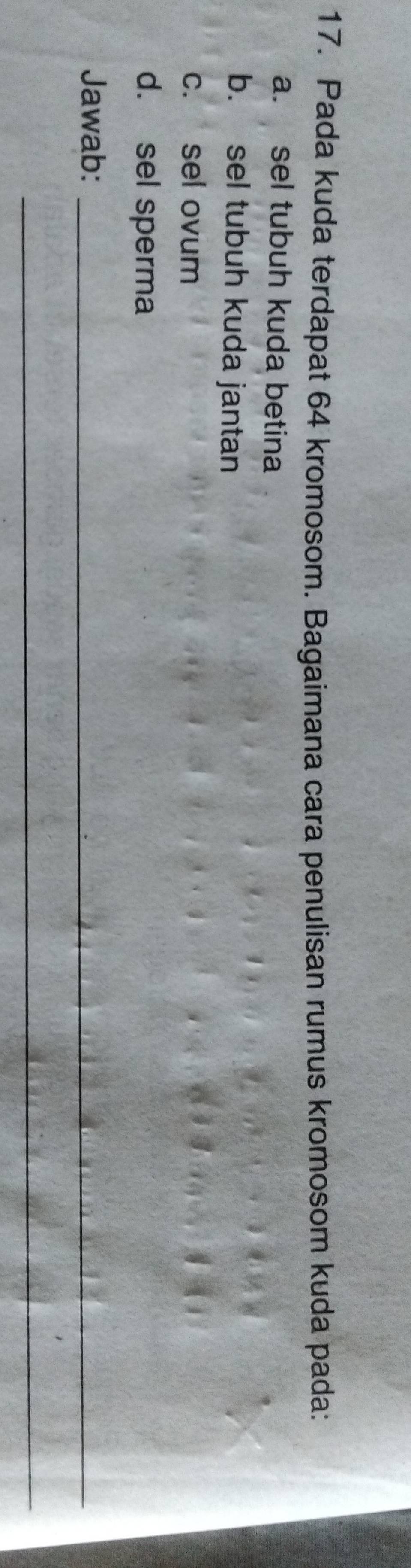 Pada kuda terdapat 64 kromosom. Bagaimana cara penulisan rumus kromosom kuda pada:
a. sel tubuh kuda betina
b. sel tubuh kuda jantan
c. sel ovum
d. sel sperma
Jawab:_
_