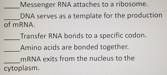 Messenger RNA attaches to a ribosome. 
_DNA serves as a template for the production 
of mRNA. 
_Transfer RNA bonds to a specific codon. 
_ 
Amino acids are bonded together. 
_ 
mRNA exits from the nucleus to the 
cytoplasm.