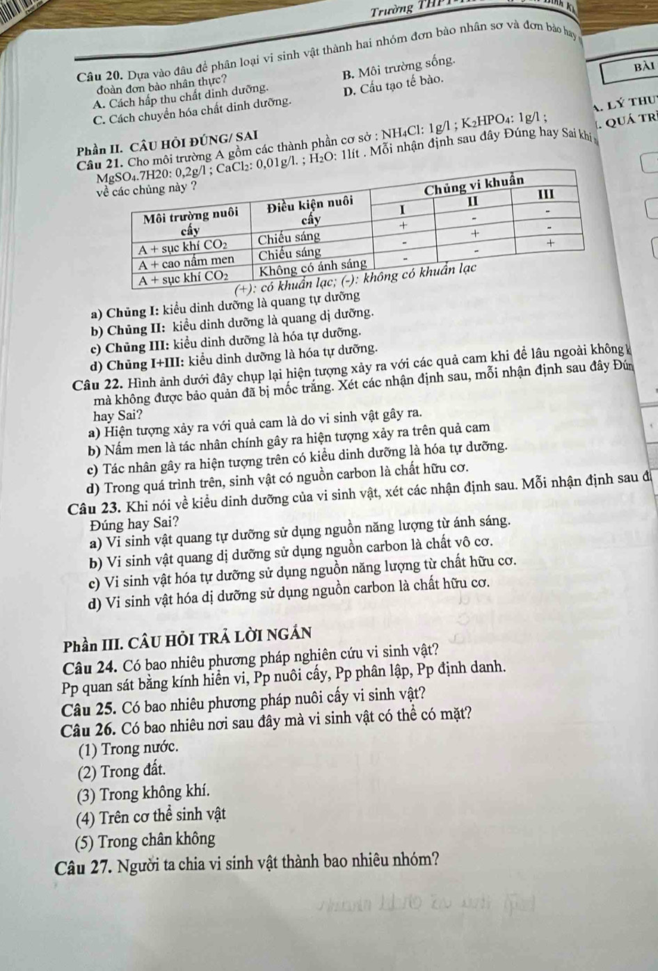 Trường TH 
Câu 20. Dựa vào đâu để phân loại vi sinh vật thành hai nhóm đơn bào nhân sơ và đơn bảo hay
A. Cách hấp thu chất dinh dưỡng. B. Môi trường sống.
bài
đoàn đơn bào nhân thực?
C. Cách chuyển hóa chất dinh dưỡng. D. Cấu tạo tế bào.
I. Quá trị
Câ 21. Cho môi trường A gồm các thành phần cơ sở : NH₄Cl: 1g/l ; K₂HPO₄: 1g/l ; a. lý thu
Phần II. CÂU HồI ĐÚNG/ SAI
,01g/l. ; H₂O: 1lít . Mỗi nhận định sau đây Đúng hay Sai khi g
a) Chủng I: kiểu dinh dưỡng là quang tự dưỡng
b) Chủng II: kiểu dinh dưỡng là quang dị dưỡng.
c) Chủng III: kiều dinh dưỡng là hóa tự dưỡng.
d) Chủng I+III: kiểu dinh dưỡng là hóa tự dưỡng.
Câu 22. Hình ảnh dưới đây chụp lại hiện tượng xảy ra với các quả cam khi để lâu ngoài khôngk
mà không được bảo quản đã bị mốc trắng. Xét các nhận định sau, mỗi nhận định sau đây Đún
hay Sai?
a) Hiện tượng xảy ra với quả cam là do vi sinh vật gây ra.
b) Nấm men là tác nhân chính gây ra hiện tượng xảy ra trên quả cam
c) Tác nhân gây ra hiện tượng trên có kiều dinh dưỡng là hóa tự dưỡng.
d) Trong quá trình trên, sinh vật có nguồn carbon là chất hữu cơ.
Câu 23. Khi nói về kiểu dinh dưỡng của vi sinh vật, xét các nhận định sau. Mỗi nhận định sau độ
Đúng hay Sai?
a) Vi sinh vật quang tự dưỡng sử dụng nguồn năng lượng từ ánh sáng.
b) Vi sinh vật quang dị dưỡng sử dụng nguồn carbon là chất vô cơ.
c) Vi sinh vật hóa tự dưỡng sử dụng nguồn năng lượng từ chất hữu cơ.
d) Vi sinh vật hóa dị dưỡng sử dụng nguồn carbon là chất hữu cơ.
Phần III. CÂU HồI TRẢ LỜI NGÁN
Câu 24. Có bao nhiêu phương pháp nghiên cứu vi sinh vật?
Pp quan sát bằng kính hiển vi, Pp nuôi cấy, Pp phân lập, Pp định danh.
Câu 25. Có bao nhiêu phương pháp nuôi cấy vi sinh vật?
Câu 26. Có bao nhiêu nơi sau đây mà vi sinh vật có thể có mặt?
(1) Trong nước.
(2) Trong đất.
(3) Trong không khí.
(4) Trên cơ thể sinh vật
(5) Trong chân không
Câu 27. Người ta chia vi sinh vật thành bao nhiêu nhóm?