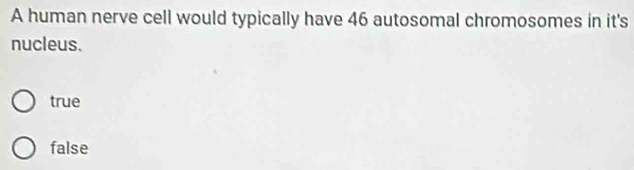 A human nerve cell would typically have 46 autosomal chromosomes in it's
nucleus.
true
false