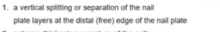 a vertical splitting or separation of the naill 
plate layers at the distal (free) edge of the nail plate