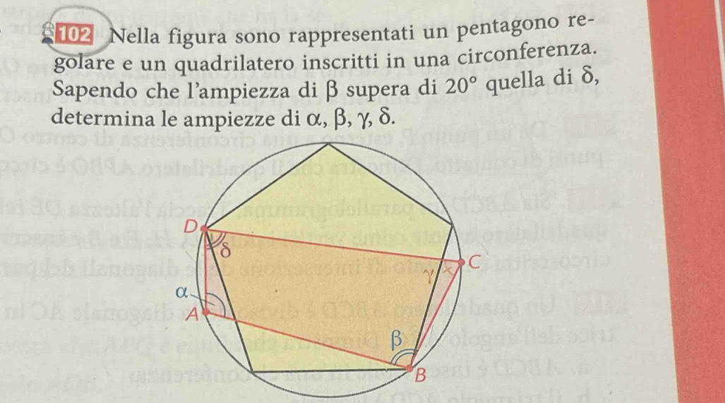 Nella figura sono rappresentati un pentagono re- 
golare e un quadrilatero inscritti in una circonferenza. 
Sapendo che l'ampiezza di β supera di 20° quella di δ, 
determina le ampiezze di α, β, γ, δ.